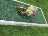 image of grave number 550041